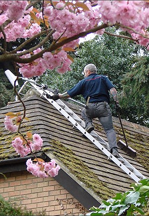 Our staff cleaning the moss from a roof in Surbiton near Kingston upon Thames